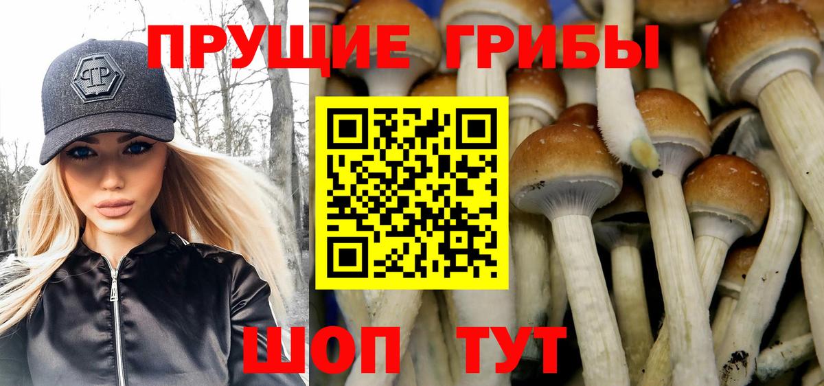 Копейск  Псилоцибиновые грибы Psilocybe  купить наркоту  Вход с VPN 